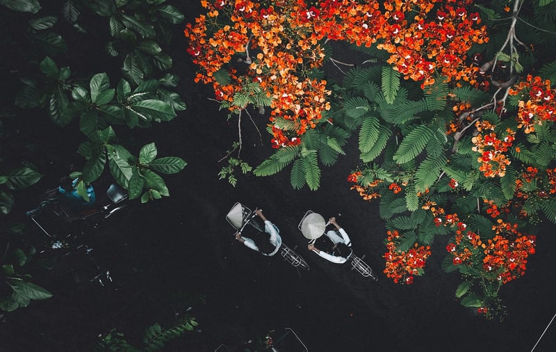 Harmony in Nature